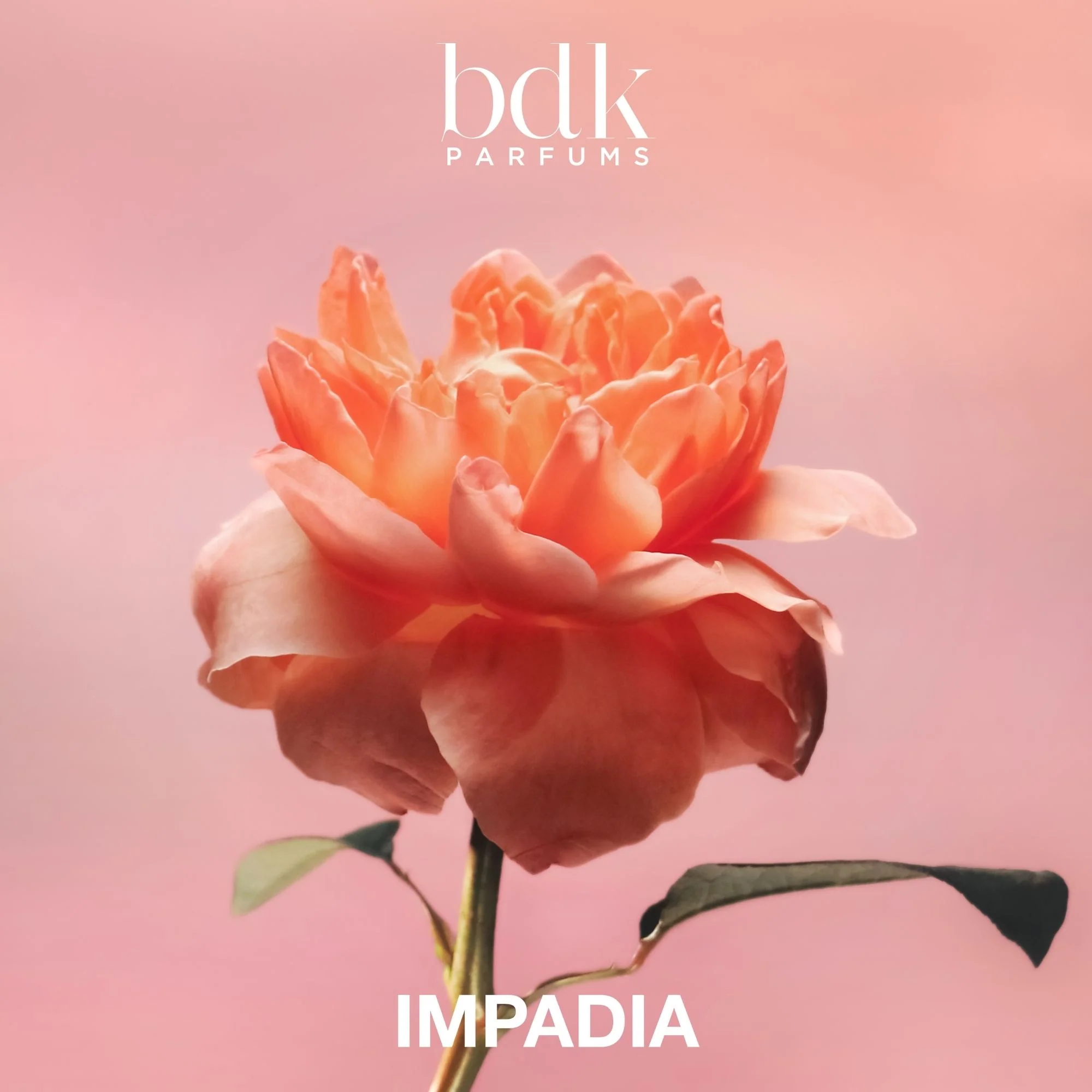 Produktbilde 5