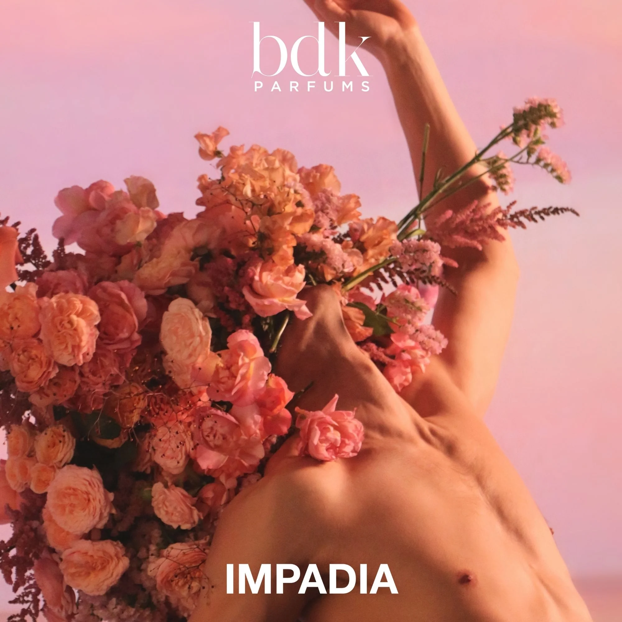 Produktbilde 6